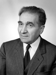 merloni 1